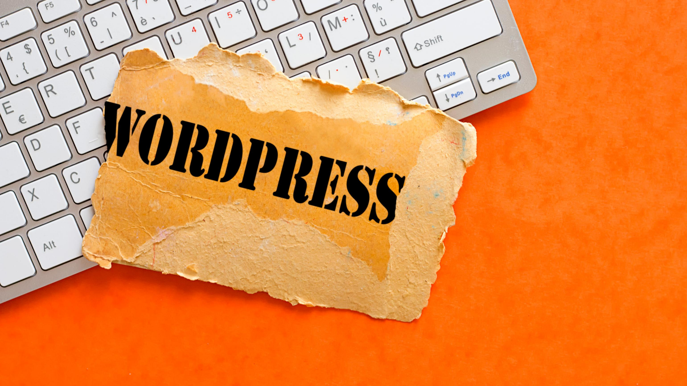 Os melhores plug-ins do WordPress gratuitamente